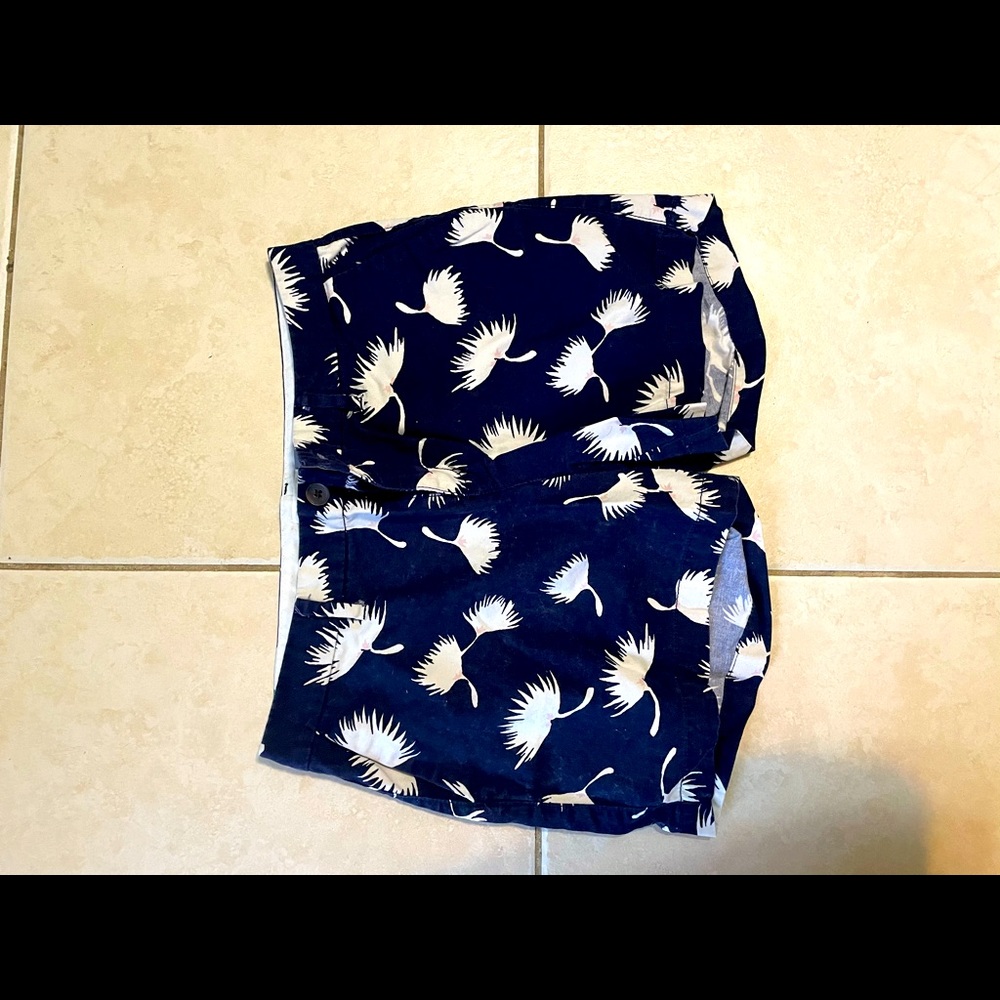 Spring/summer shorts